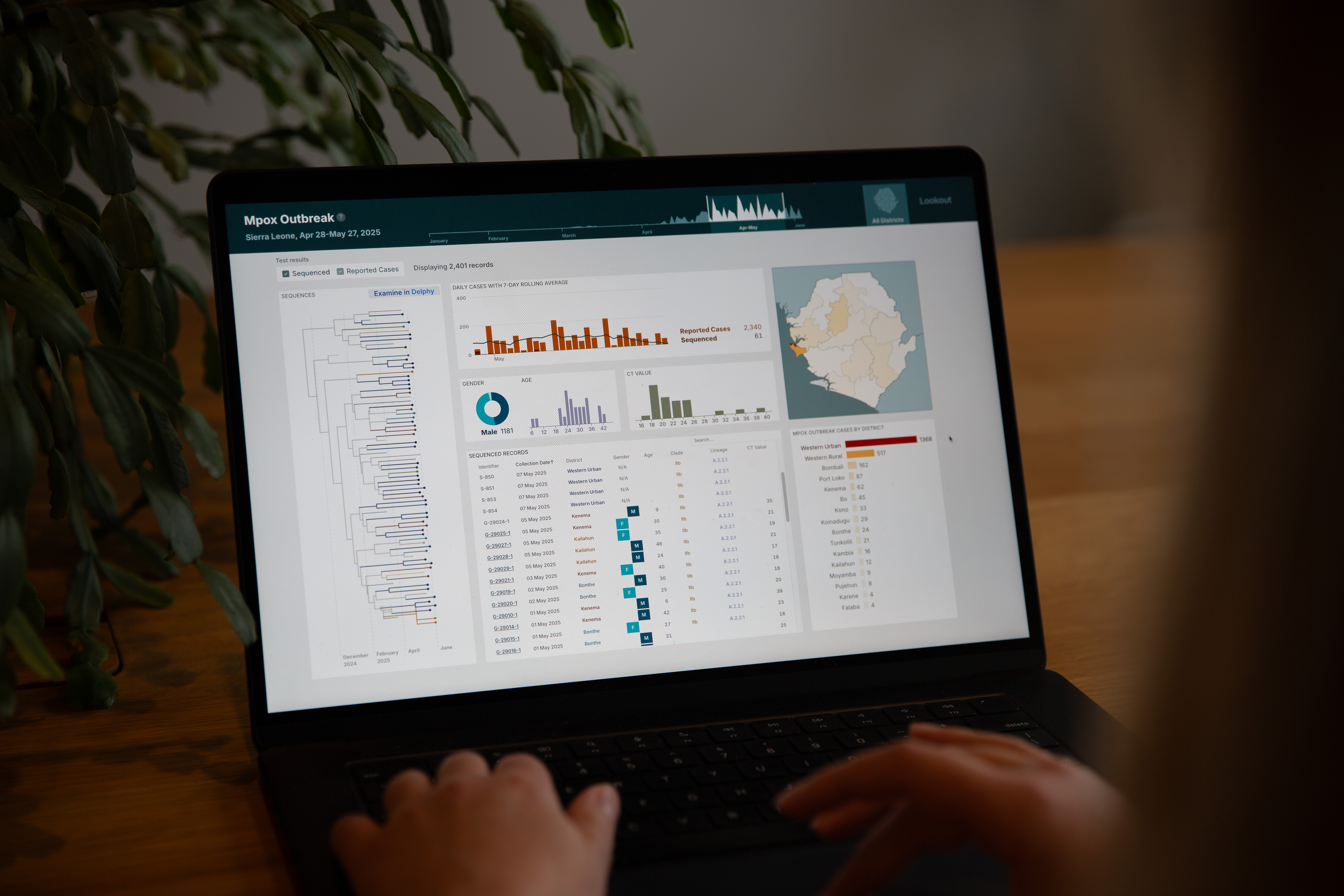 A view looking over Ellory’s shoulder as she has the Lookout dashboard displaying mpox surveillance data pulled up on her laptop screen.
